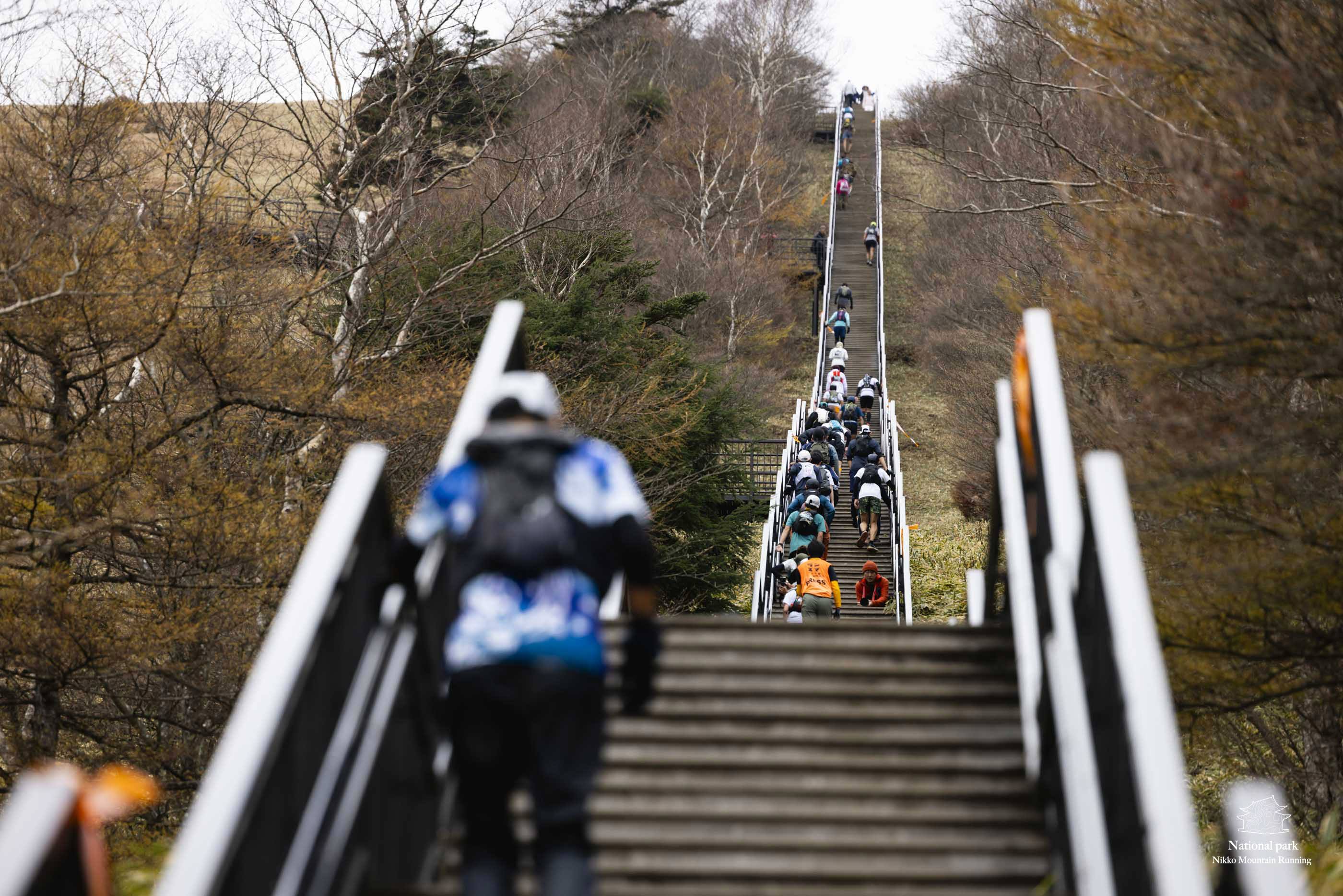 日光天空回廊コース