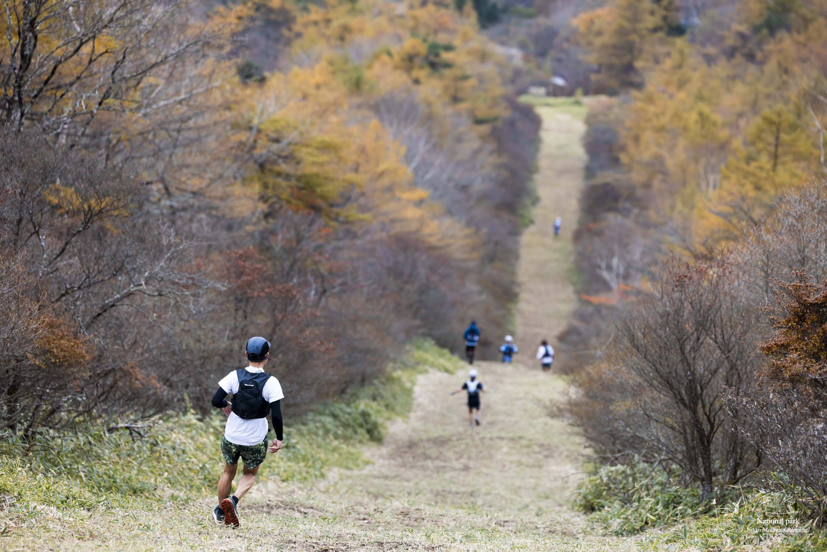 ヒャッホー！トレイル